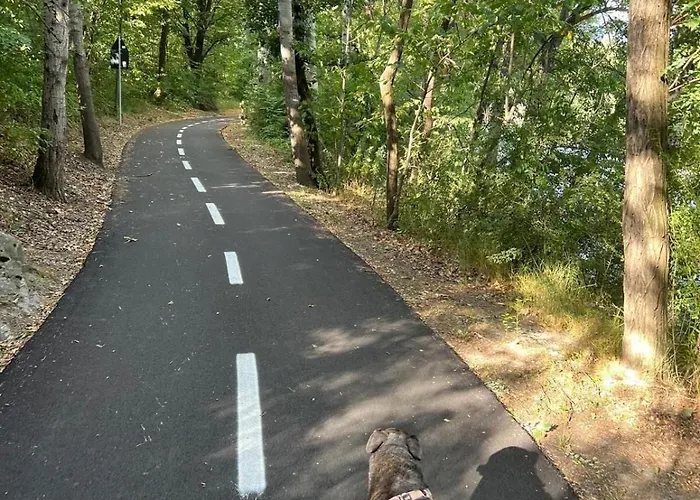 Holiday home Rifugio Alpino A Septumian Con Vista Montagne Marseiller